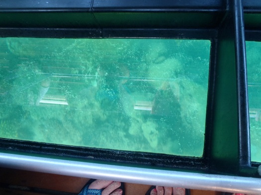 Glass bottom boat time