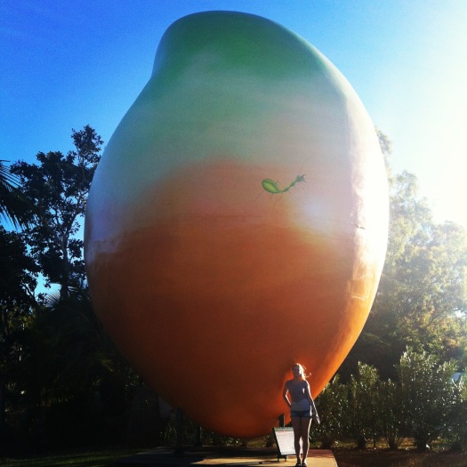 Oh herro giant mango of Bowen